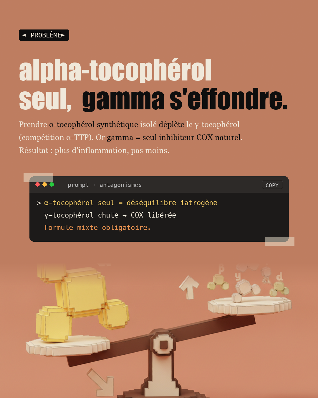 Vitamine E : 8 formes, pas seulement l'alpha-tocophérol : Slide 2