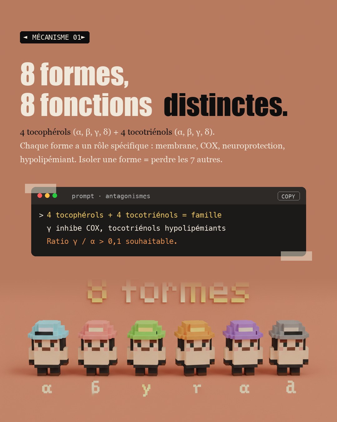 Vitamine E : 8 formes, pas seulement l'alpha-tocophérol : Slide 3