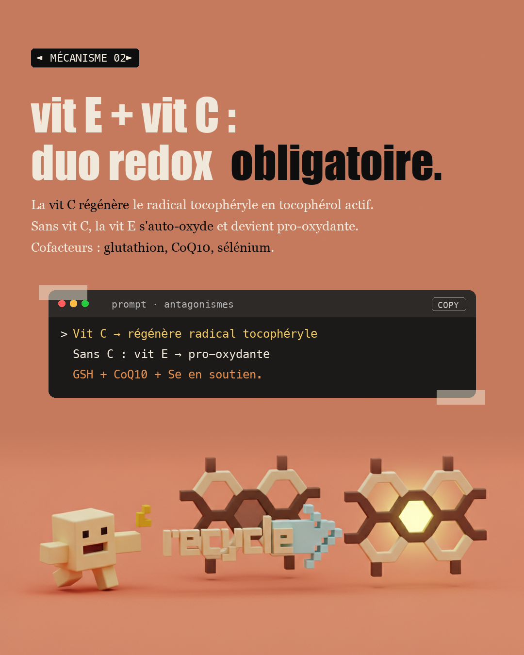 Vitamine E : 8 formes, pas seulement l'alpha-tocophérol : Slide 4