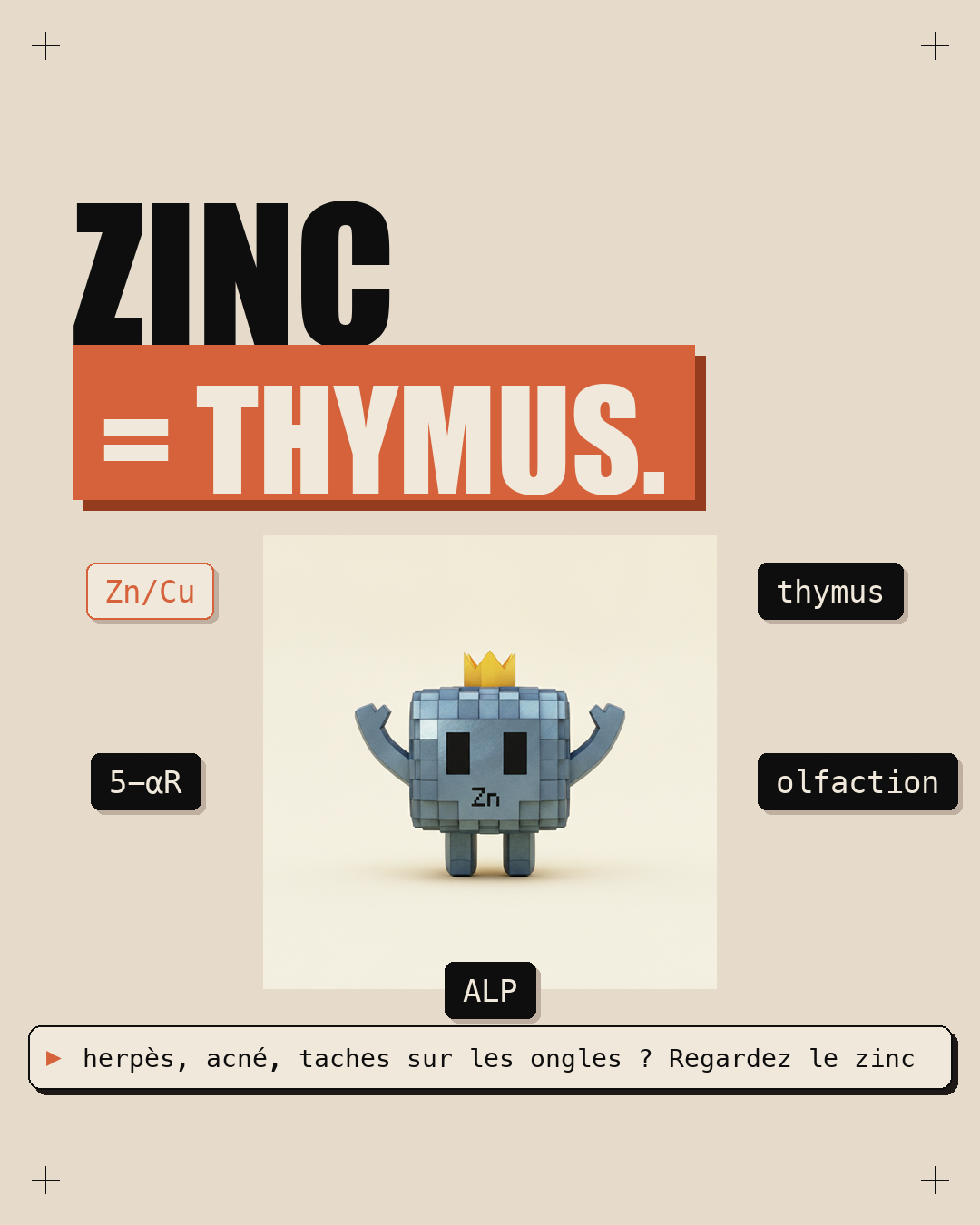 Zinc : l'oligo qui refait ton thymus