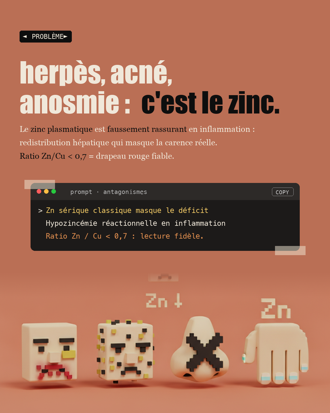 Zinc : l'oligo qui refait ton thymus : Slide 2