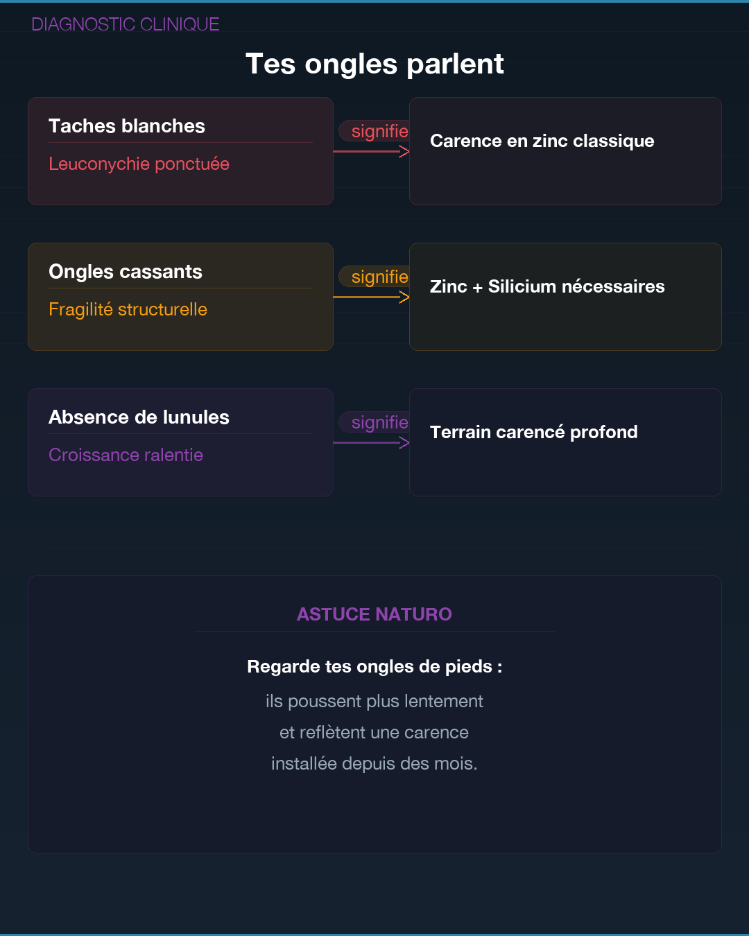 Zinc : pourquoi tu es en carence : Slide 7