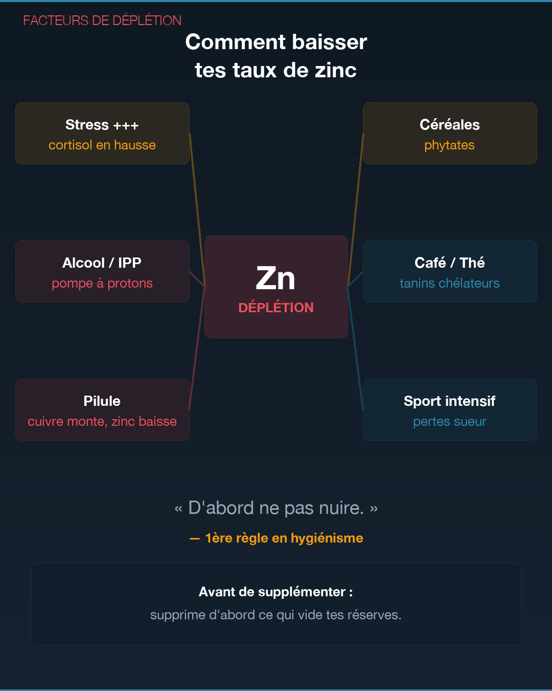 Zinc : pourquoi tu es en carence : Slide 8