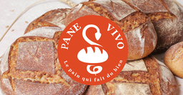 Pane Vivo