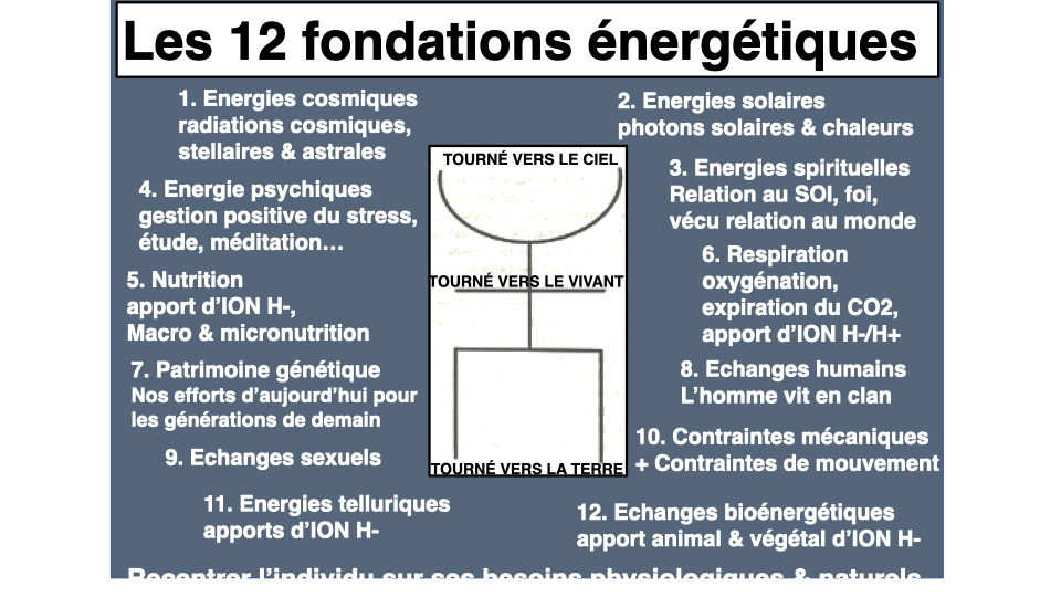 Les 12 fondations énergétiques (Marchesseau)