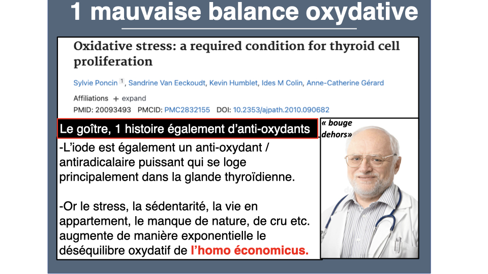 Le stress oxydatif et la prolifération thyroïdienne